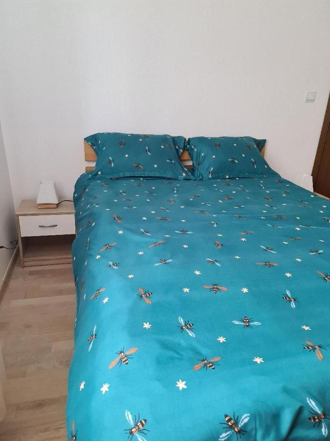 Central Cosy Apart Oradea 아파트 외부 사진